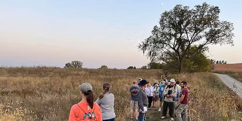 Field Trip: Evening Grasslands Walk and Birding