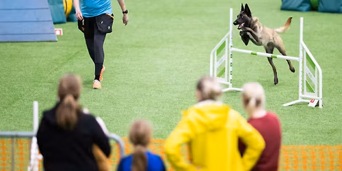 Miikun tukiepikset SAOWC 2026 \ud83c\udde9\ud83c\uddea