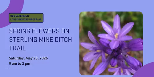 Spring Flowers on Sterling Mine Ditch Trail from Tunnel Ridge Trailhead
