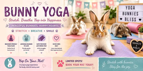 Bunny Yoga in Mississauga
