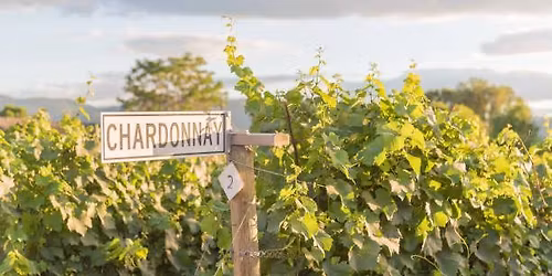 California Chardonnay Tasting