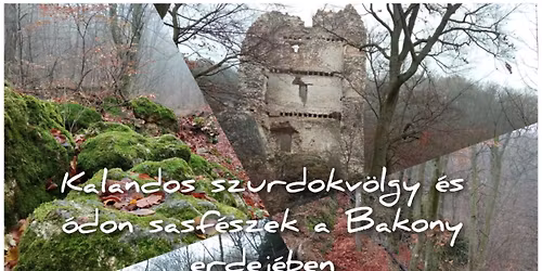 Kalandos szurdokv\u00f6lgy \u00e9s \u00f3don sasf\u00e9szek a Bakony erdej\u00e9ben