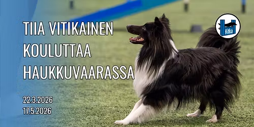 Tiia Vitikaisen koulutus