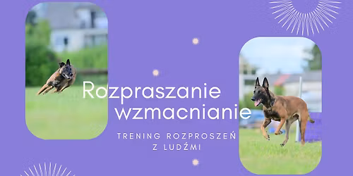 Rozpraszanie - wzmacnianie - MAJ 2026 1\/3