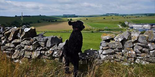 Roystone Grange - Dog Friendly - Peak District