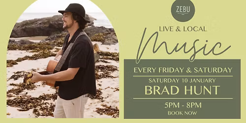 Live Music \/\/ Brad Hunt