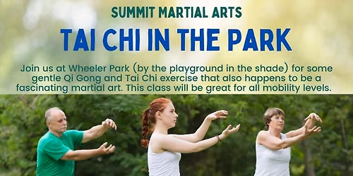 Tai Chi in the Park