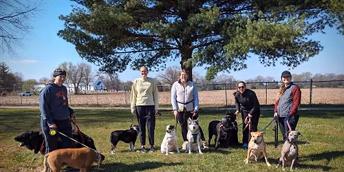 Saturday Stroll 11\/15