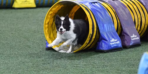 Tunnel bypass with Finley Richgels
