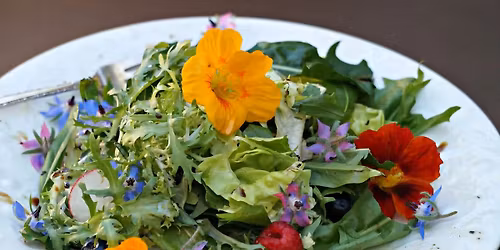 EDITABLE FLOWERS!!!!: In the Kitchen with Judi Strauss at Wildwood Cultural Center