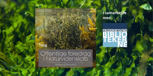 FOREDRAG (LIVESTREAM): Tang