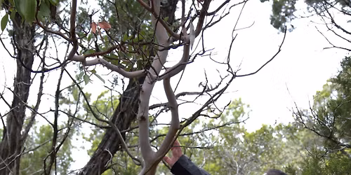 National Take a Hike Day Guided Hike