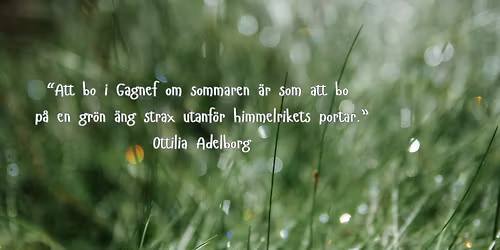 Gagnefs gullrisgr\u00e4vardag!