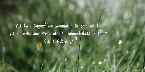 Gagnefs gullrisgr\u00e4vardag!