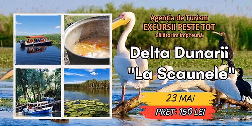 \ud83d\udee5\ufe0f \u201eLa Scaunele\u201d \u2013 Delta Duna\u0306rii \ud83d\udc1f