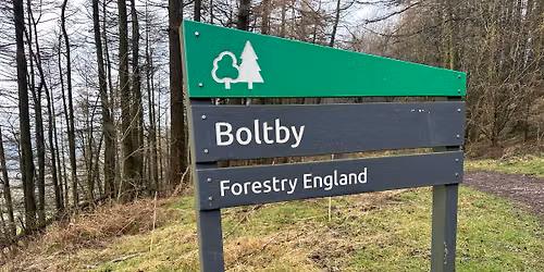 August Wednesday Evening Walk - Boltby Woods - 7miles\/11km 