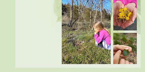 Foraging for Kids (8 and up)