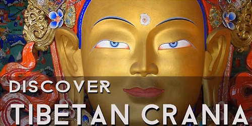 Discover Tibetan Cranial - Free Event 