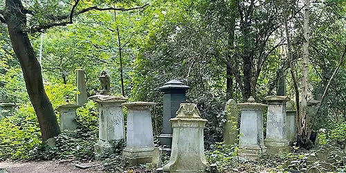 Abney Park Litter Picking (Run by APT)