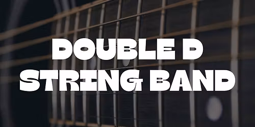 Double D String Band - No Cover