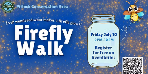 Firefly Walk