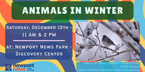Animals in Winter