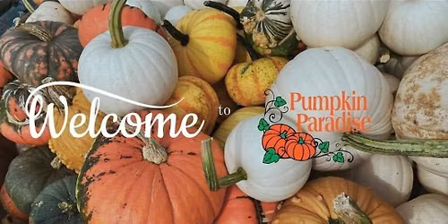 Jerzee Dogs returns to Pumpkin Paradise 