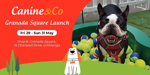 Take your dog on a dream date 