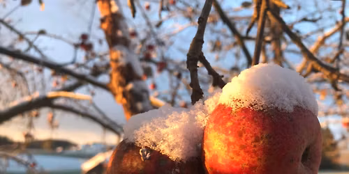 Stammtisch Eggenfelden