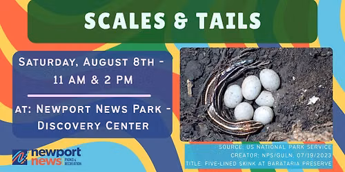 Scales & Tails