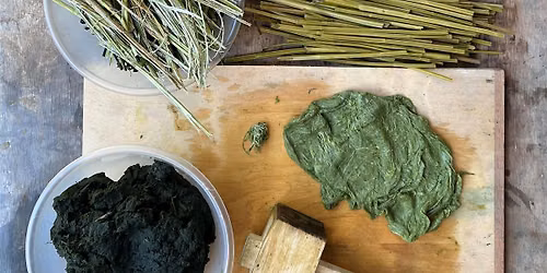 Nettle Papermaking Workshop