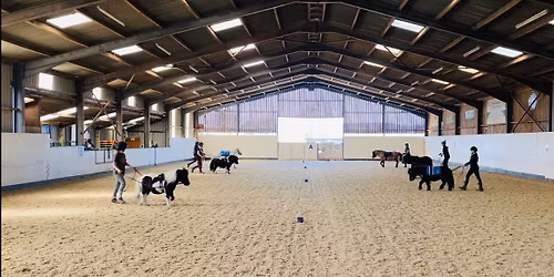 Formation Riding Clinic at Ladyleys - Private Minis Clinic for Peerie Breeks