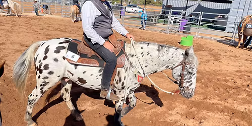 RHASA Come & Try Day - Dec 2025