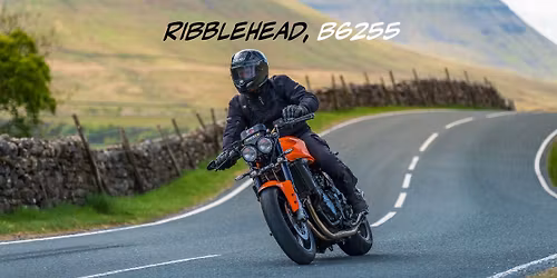 Ribblehead, B6255 - Roadside Shoot