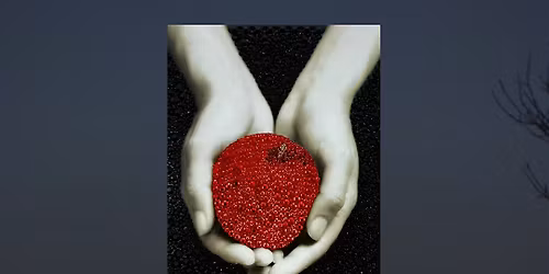 Kiss & Tell Book Club-Twilight Bedazzling Night