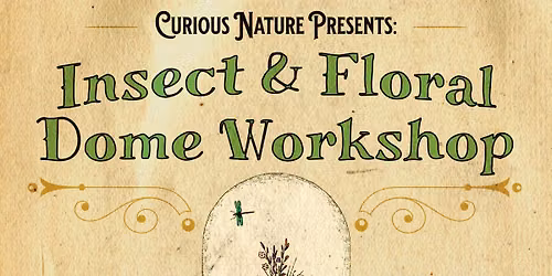 Insect & Floral Dome Workshop