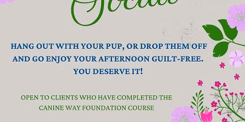 Dog Mom Social