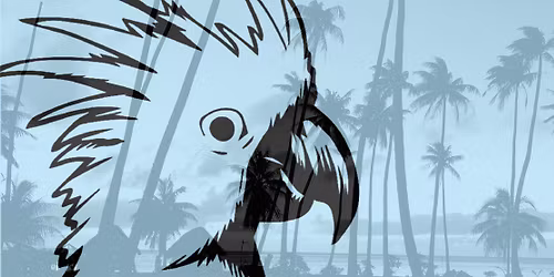 Cockatoo Steel Drums & Percussion & The Island House