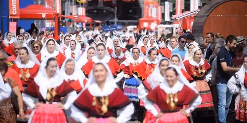 Picnic de S\u00e3o Jo\u00e3o