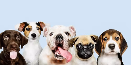 FUN DOG SHOW