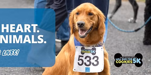 Will Run for Cookies Dakin 5K\/2K