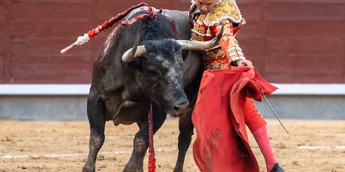 Bullfighting Madrid 2026 - Antonio Ferrera & Rom\u00e1n Tickets