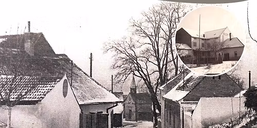 Zp\u00edv\u00e1n\u00ed u v\u00e1no\u010dn\u00edho stromu na V\u00e1vrov\u011b ml\u00fdn\u011b 