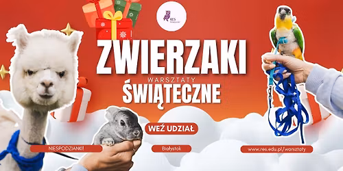 Warsztaty \u015bwi\u0105teczne ze zwierz\u0119tami