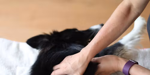 Sommer Kongress 2026