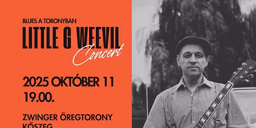 Little G Weevil koncert az Öregtoronyban 