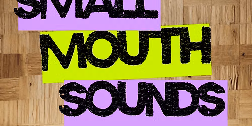 Small Mouth Sounds at Barrymore Theatre-NY