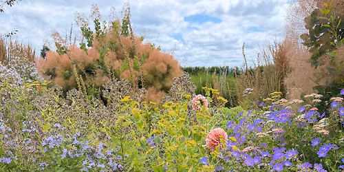 Perennial Plant Walk & Talk