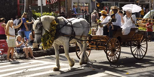 154th Annual King Kamehameha Day Celebration Parade