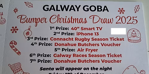 Christmas Night at the Dogs